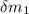 Mathematical equation: $\delta m_1$