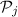 Mathematical equation: ${\cal P}_j$