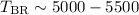 Mathematical equation: $T_{\rm BR}\sim5000-5500$
