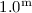 Mathematical equation: $1.0^{\rm m}$