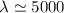 Mathematical equation: $\lambda\simeq5000$