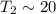 Mathematical equation: $T_2 \sim 20$