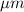 Mathematical equation: $\mu{m}$