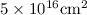 Mathematical equation: $5\times10^{16} \mathrm{cm^2}$