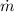 Mathematical equation: $\dot m$