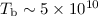 Mathematical equation: $T_{\rm b}\sim5\times10^{10}$