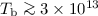 Mathematical equation: $T_{\rm b}\ga3\times10^{13}$