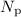Mathematical equation: $N_\mathrm{p}$