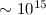 Mathematical equation: $\sim 10^{15}$