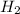 Mathematical equation: ${H}_2$