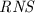 Mathematical equation: ${\it RNS}$