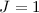 Mathematical equation: $J=1$