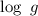 Mathematical equation: $\log~g$