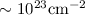 Mathematical equation: $\sim10^{23}\text{cm}^{-2}$