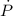 Mathematical equation: $\dot P$