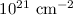 Mathematical equation: $10^{21}~{\rm cm}^{-2}$