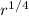 Mathematical equation: $r^{1/4}$