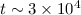 Mathematical equation: $t \sim 3 \times 10^{4}$
