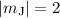 Mathematical equation: $|m_{\rm J}|=2$