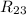 Mathematical equation: $R_{ 23}$