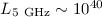 Mathematical equation: $L_{{\rm 5 \ GHz}} \sim 10^{40}$