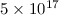 Mathematical equation: $5\times10^{17}$