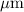 Mathematical equation: $\mu{\rm m}$