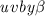 Mathematical equation: ${\it u}v{\it by}\beta$