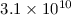 Mathematical equation: $3.1\times 10^{10}$