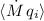 $\langle{\hbox{$\skew3\dot M$}}\,q_i\rangle$