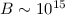 $B \sim 10^{15}$