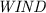 $\emph{WIND}$