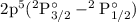 $\rm 2p^5(^2P^\circ_{3/2}-^2P^\circ_{1/2})$
