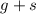 Mathematical equation: $g+s$