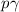 Mathematical equation: $p\gamma$