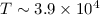 $T\sim3.9\times 10^4$