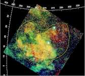 Antlia SNR observed in X-rays with eROSITA/SR