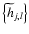 $\left\lbrace {\widetilde{h}}_{j,l} \right\rbrace$