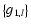 $\left\lbrace g_{1,l} \right\rbrace$