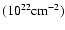 $(\rm {10^{22}cm^{-2}})$