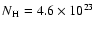 $N\rm {_H}=4.6\times 10^{23}$