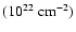 $\rm {(10^{22}~\rm cm^{-2})}$