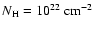${N_{\rm H}=10^{22}~\rm cm^{-2}}$