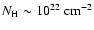 $N_{\rm H}\sim 10^{22}~\rm cm^{-2}$