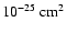 $10^{-25}~{\rm cm^2}$