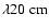 $\lambda 20~{\rm cm}$