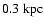 $0.3~{\rm kpc}$