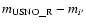 $m_{\rm USNO\_R}-m_{i'}$