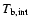 $T_{{\rm b,int}}$