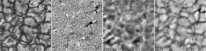 \begin{figure}
\par\includegraphics[width=18cm]{0448fig8.eps}
\end{figure}